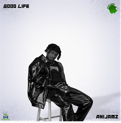 Anijamz - Good Life