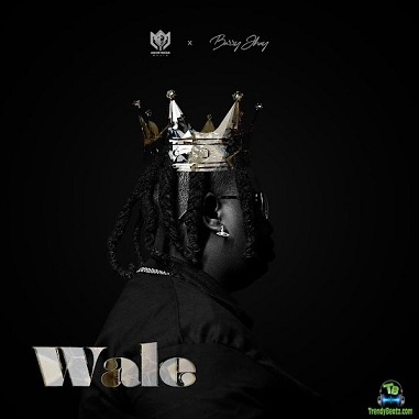 Anonymous Music - Wale ft Barry Jhay