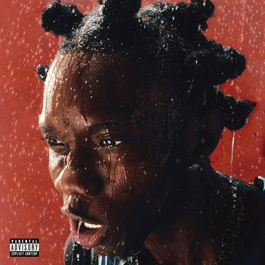 Blaqbonez