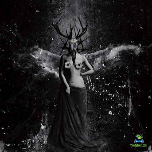 Brymo - The Girl from New York