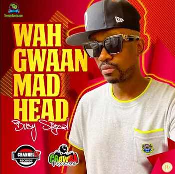 Busy Signal - Wah Gwaan Mad Head