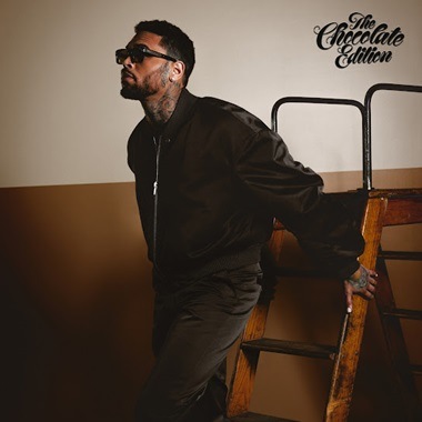 Chris Brown - Man On A Mission ft Wizkid