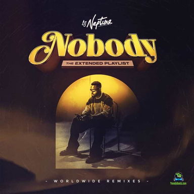 Dj Neptune Nobody  (Worldwide Remixes)  EP