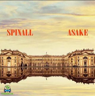 Dj Spinall - Palazzo ft Asake