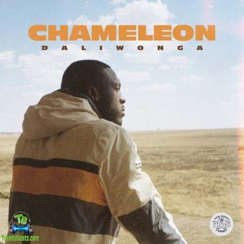 Daliwonga - Chameleon ft Kabza De Small, DJ Maphorisa