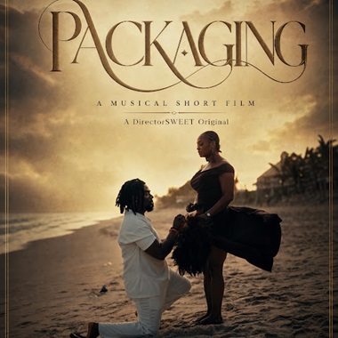 DirectorSweet - Packaging