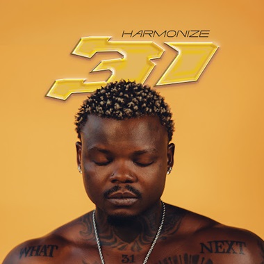 Download Harmonize 31 Album music