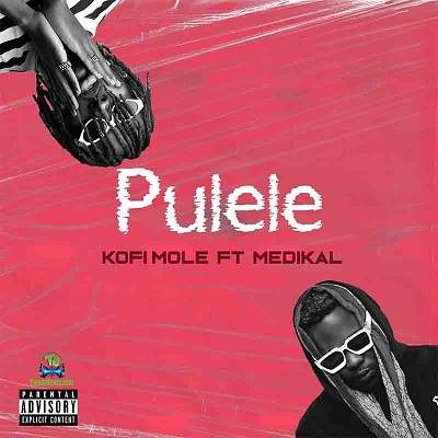 Kofi Mole - Pulele ft Medikal