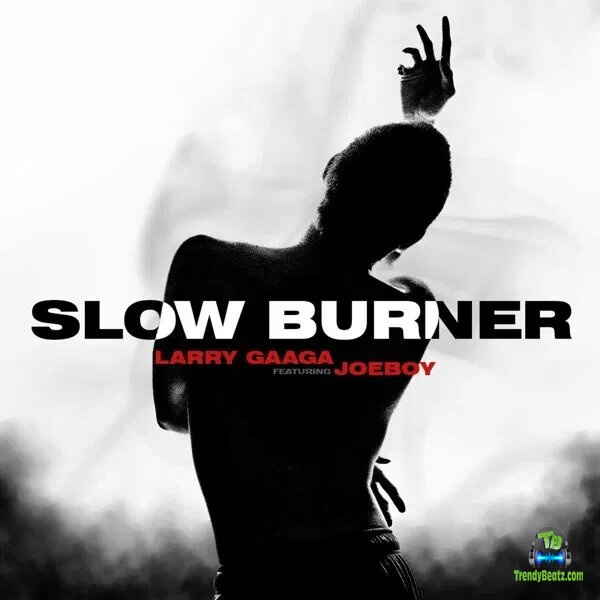 Larry Gaaga - Slow Burner ft Joeboy