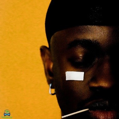 Mannywellz