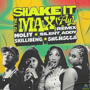 Moliy - Shake It To The Max (Fly) (Remix) ft Shenseea, Skillibeng, Silent Addy