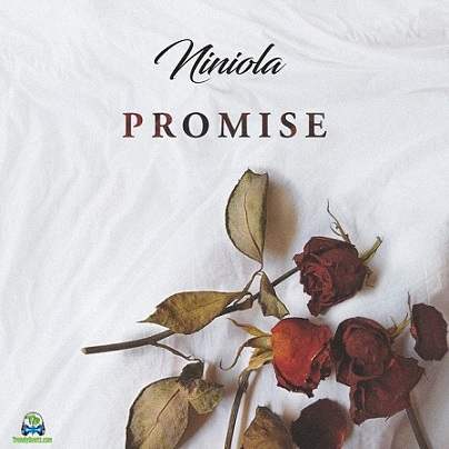 Niniola - Promise