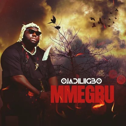 Ojadiliigbo