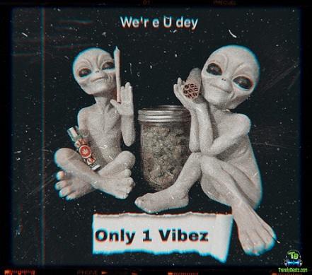 Onlyonevibezz