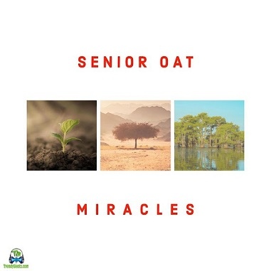 Senior Oat