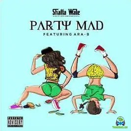 Shatta Wale - Party Mad ft Ara B