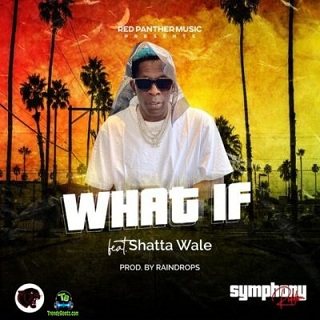 Shatta Wale - What If