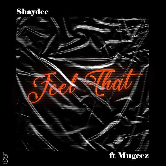 Shaydee - Feel That ft Mugeez