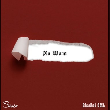 Skiibii