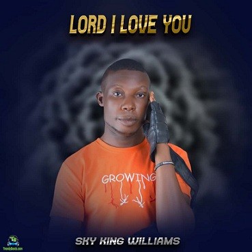 Sky King Williams