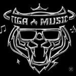 TIGA INC