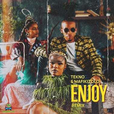 Tekno - Enjoy (Remix) ft Mafikizolo