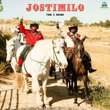 Teni - Jostimilo ft Skiibii