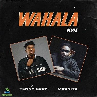Tenny Eddy - Wahala (Remix) ft Magnito