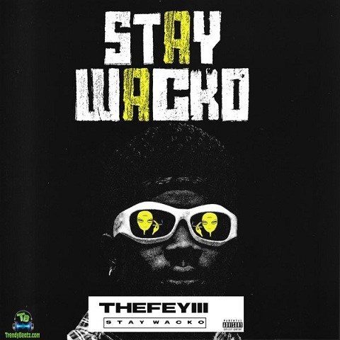 TheFeyiii