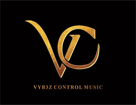 Vyb3z Control