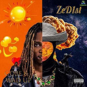 ZeD1st