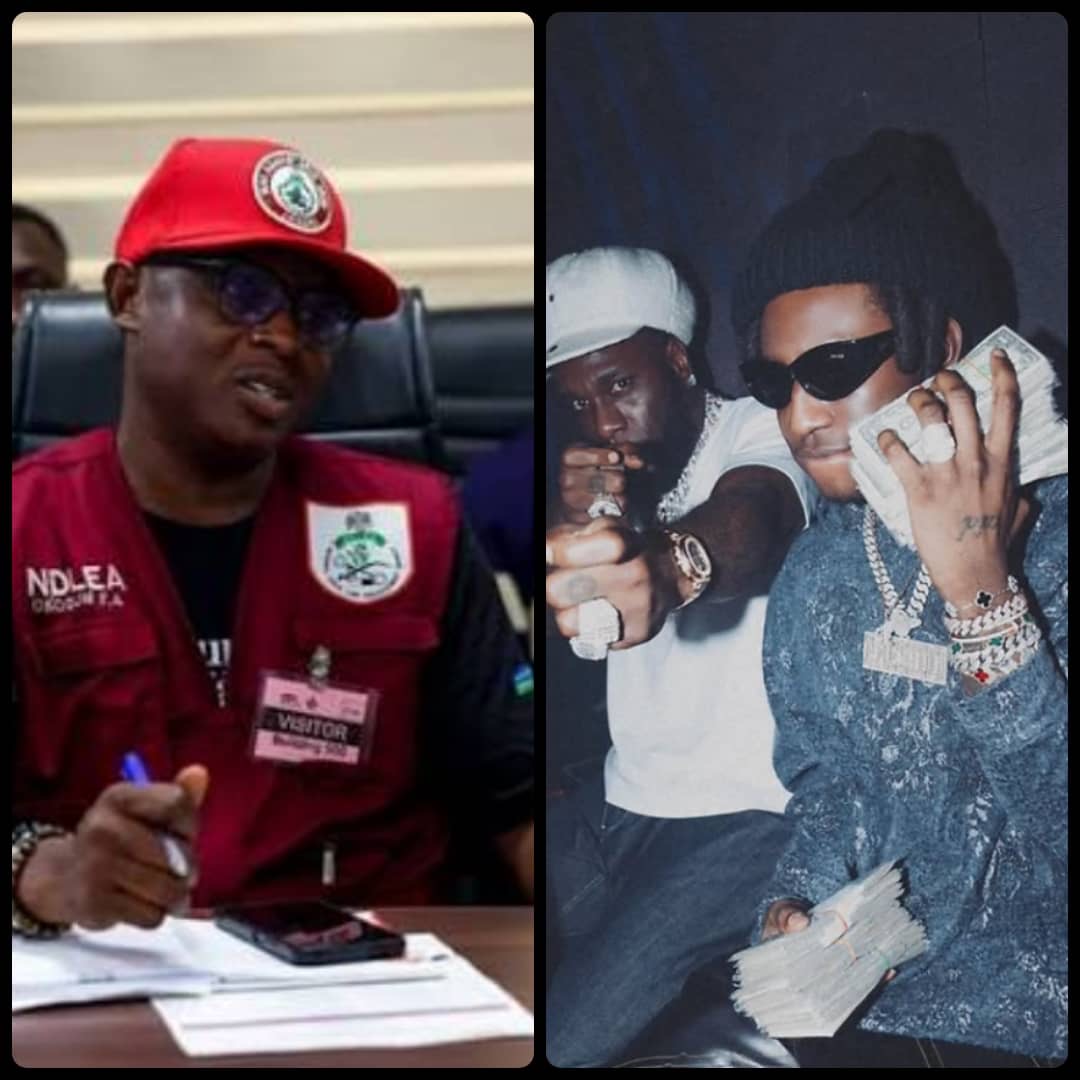 Dr Sina Questions NDLEA After Burna Boy and Shallipopi Allegedly Seen Using Weed on Live Video