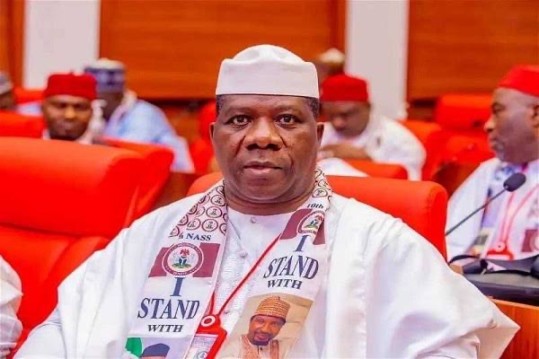 One Six-Year Term Is Better Than Two Four-Year Terms – Senator Bamidele Proposes Constitutional Amendment