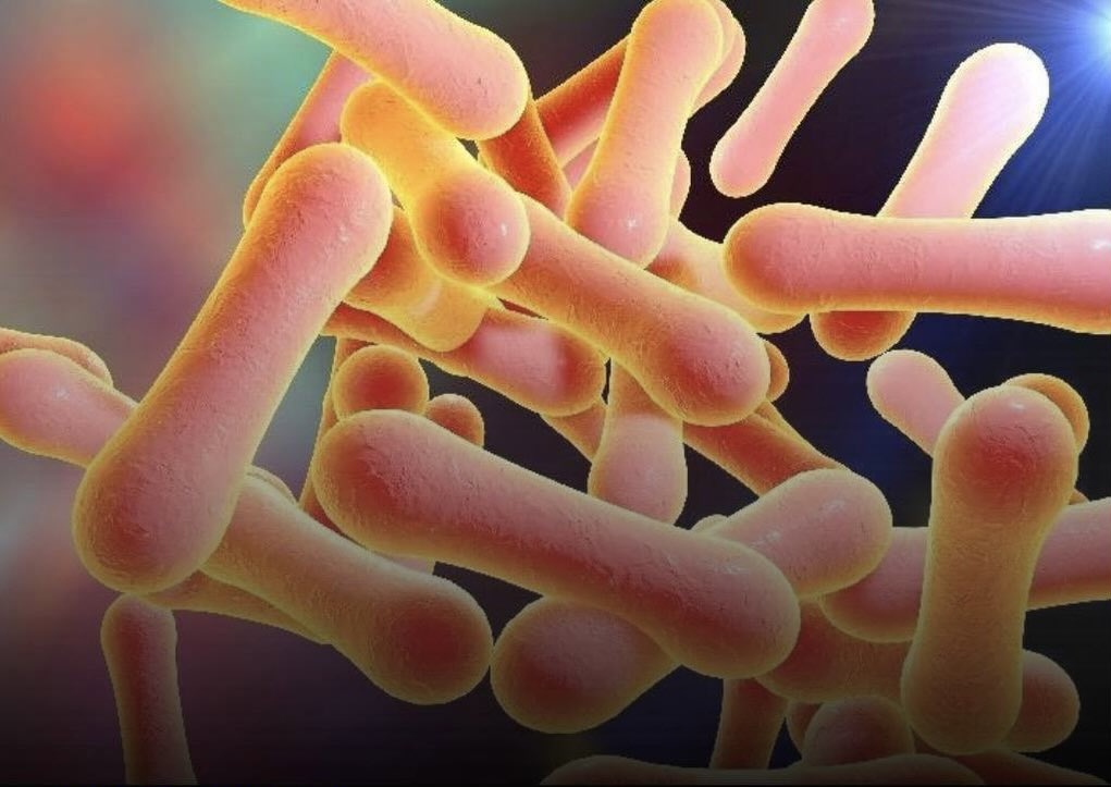 BREAKING: Diphtheria Outbreak Claims 23 Lives in Plateau as 143 Suspected Cases Recorded in Two Weeks
