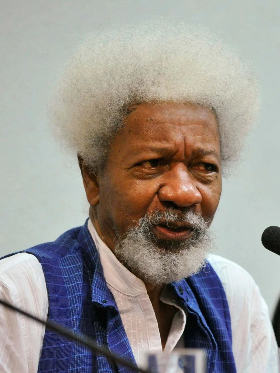 “Yoruba Is a Very Difficult Language…” — Alleged Wole Soyinka Quote Sparks Heated Debate Online