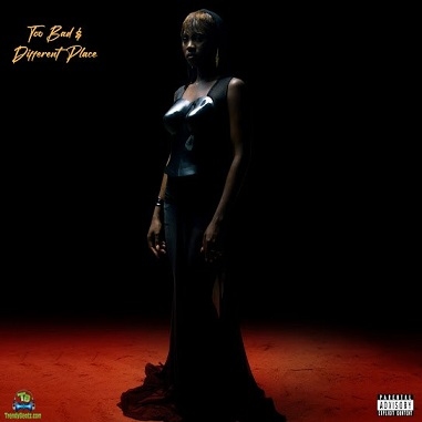 Cina Soul – Too Bad cover