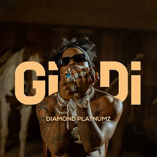 Diamond Platnumz – Gidi cover