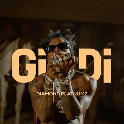 Diamond Platnumz - Gidi (Video) video cover
