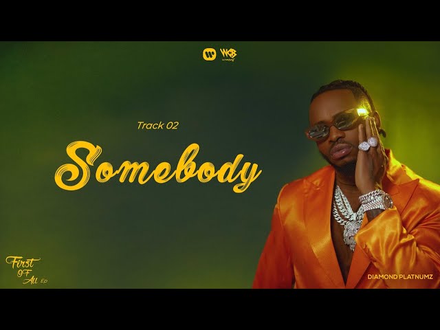 Diamond Platnumz - Somebody (Video) video cover