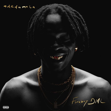 FireBoy DML – Everyday cover