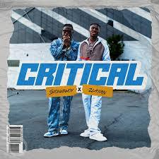 Stonebwoy - Critical (Video) video cover