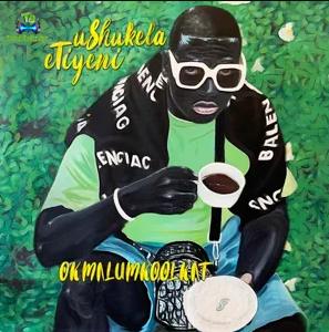 Download Okmalumkoolkat uShukela eTiyeni Album mp3